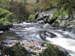 20111111 Conwy Falls in Fairy Glen near Betws-y-Coed, Snowdonia